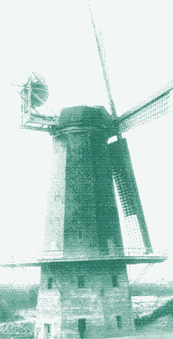 Image: The Murphy mill in San Francisco.
