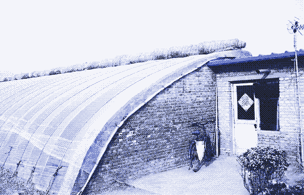 Chińska szklarnia: Zdjęcie: Chris Buhler, Indoor Garden HQ